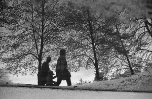 Enlèvement arbre urgence Nancy